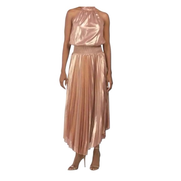 Ramy Brook - Olana Pleated Metallic Midi Dress Size 4 - Picture 1 of 10